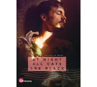 At Night All Cats Are Black (DVD)