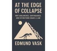 At the Edge of Collapse: Why Avalanches, Earthquakes, and Extinctions Share a Law