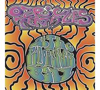 Ozric Tentacles At the Pongmaster's Ball (CD) Album with DVD