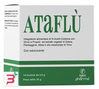 ATAFLU' 14 BUSTINE