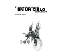 Atalayas enredadas en un cielo cableado