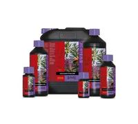 ATAMI ATA B'CUZZ - COCO BLOOM STIMULATOR - 1L