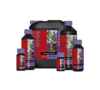 ATAMI ATA B'CUZZ - COCO BLOOM STIMULATOR - 500ML