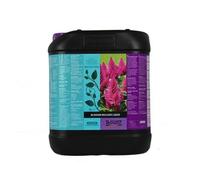 Atami B'Cuzz Blossom Builder Booster Fioritura Piante Terra Ultime Settimane