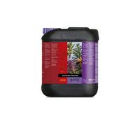 Atami - B'Cuzz COCCO Bloom Stimulator