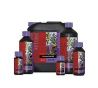 Atami - B'Cuzz COCCO Bloom Stimulator