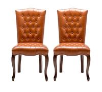 ATAPNLNMTZ Set di 2 Sedie da Pranzo, Sedie da Cucina con Schienale Morbido, Comode E Resistenti, per Casa, Ristorante, Bar, Hotel(Orange)