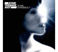 ATARI TEENAGE RIOT - IS THIS HYPERREAL?