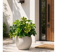 ATAVSADN Piante finte da Esterno e Interno, Piante Artificiali UV Resistant per Balcone Giardino 1Pack,One Size
