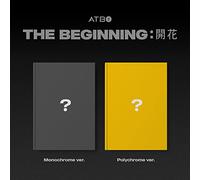 ATBO - The Beginning