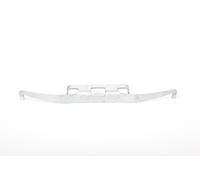 ATE Molla per pinza freno 11.8116-0200.1 anteriore per Mercedes-Benz, VW