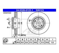 ATE 2x Disco Freni Anteriore Ø300mm Ventilato per Renault Laguna II Grand KG0 /