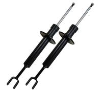 ATEC GERMANY 2x ammortizzatore a pressione di gas anteriore a doppio tubo, compatibile con AUDI A4 B6 (8E2), A4 B6 Avant (8E5), A4 B7 (8EC), A4 B7 Avant (8ED), SEAT EXEO (3R2), EXEO ST (3R5)