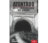 ATENTADO EN EL EMBOVEDADO DEL DARRO: 40