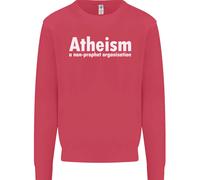 Atheismo Un'Organizzazione Non Profit Felpa Jumper Per Bambini Atei