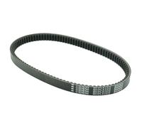 ATHENA Cinghia di Trasmissione - S41PLAT076