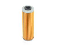 ATHENA Filtro Olio a cartuccia interna per moto - FFC043