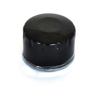 ATHENA Filtro Olio avvitabile per moto - FFP024