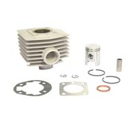 ATHENA Gruppo Termico Standard Bore Ø 39 mm, 50 cc con Guarni - 009400
