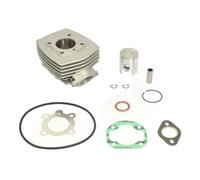 ATHENA Gruppo Termico Standard Bore Ø 40 mm, 50 cc con Guarni - 064400