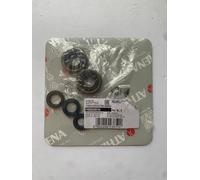 Athena Kit paraolio motore BETA XP 50 1988 1989 1990 1991 1992 1993