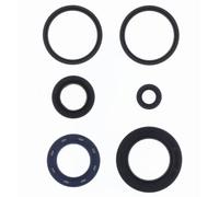 Athena Kit paraolio motore KYMCO G-DINK 300 2012