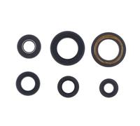 Athena, kit paraolio motore Yamaha: 95-97 XT L/LC/Z/TENENRE'/T/S/N 600cc; 1998 X