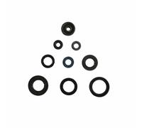 Athena P400485400048 Serie Paraolio Motore
