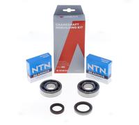 ATHENA Kit Revisione Albero Motore: Kit Cuscinetti e Paraolio - P400060444002