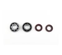 Kit Revisione Albero Motore: Kit Cuscinetti e Paraolio APRILIA RX 50 2006 - 2014