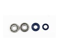 ATHENA Kit Revisione Albero Motore: Kit Cuscinetti e Paraolio - P400130444005