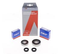 ATHENA Kit Revisione Albero Motore: Kit Cuscinetti e Paraolio - P400210444003