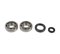 ATHENA Kit Revisione Albero Motore: Kit Cuscinetti e Paraolio - P400210444270