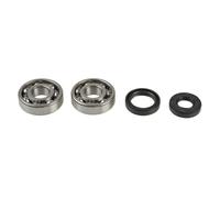 ATHENA Kit Revisione Albero Motore: Kit Cuscinetti e Paraolio - P400250444001