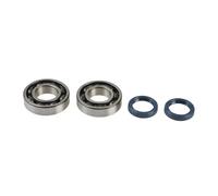ATHENA Kit Revisione Albero Motore: Kit Cuscinetti e Paraolio - P400250444016