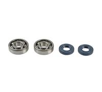 ATHENA Kit Revisione Albero Motore: Kit Cuscinetti e Paraolio - P400250444082