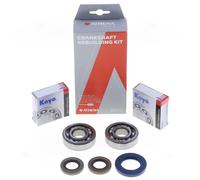 ATHENA Kit Revisione Albero Motore: Kit Cuscinetti e Paraolio - P400270444042