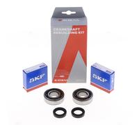 ATHENA Kit Revisione Albero Motore: Kit Cuscinetti e Paraolio - P400420444003