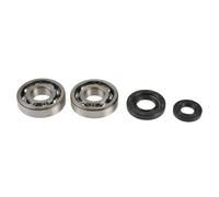 ATHENA Kit Revisione Albero Motore: Kit Cuscinetti e Paraolio - P400485444038