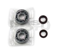 Kit Revisione Albero Motore: Kit Cuscinetti Paraolio APRILIA MOJITO 50 2004 2008