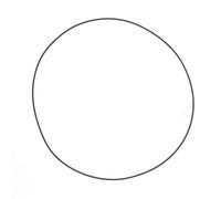 ATHENA O-ring in Viton® - M752001640094