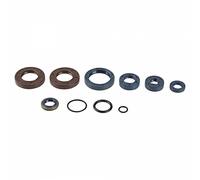 Serie Paraolio Motore BETA RK 50 6 da 1-1993 - a 12-1996