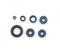 Serie Paraolio Motore BMW F 650 CS da 1-2000 - a 12-2005