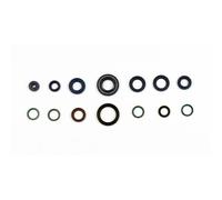 ATHENA P400110400101 KIT PARAOLI MOTORE DUCATI MONSTER 750 1998