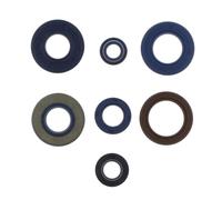 ATHENA P400130400204/1 KIT PARAOLI MOTORE APRILIA RED ROSE 50 CLASSIC 1992
