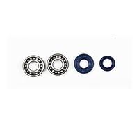 Athena P400130444005 Kit Albero Motore Skf per B&S Minarelli Metal Cage Special N
