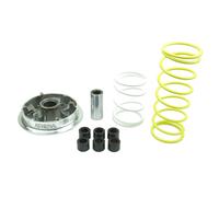 Athena Kit Variatore Speedmatic Honda Forza 250