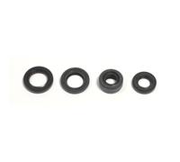 Set di guarnizioni olio motore ATHENA P400210400182