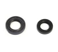 ATHENA P400210400184 KIT PARAOLI MOTORE HONDA CRF F 100 2008