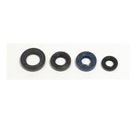ATHENA P400210400192 KIT PARAOLI MOTORE HONDA 230 F MOTARD 2010